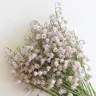 LilyOfTheValley