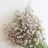LilyOfTheValley